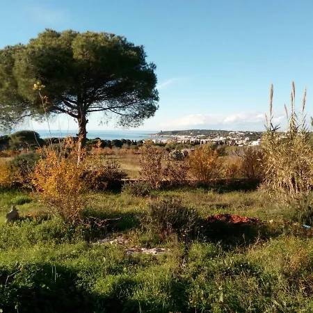 Antica Tenuta *
