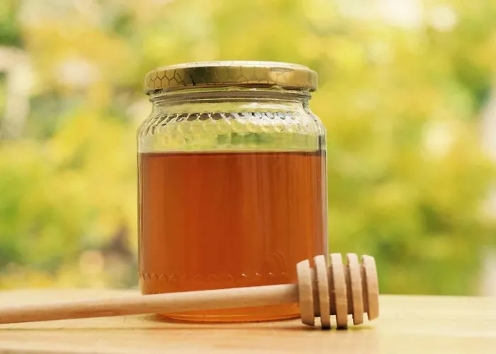 팜스테이 Antica Tenuta