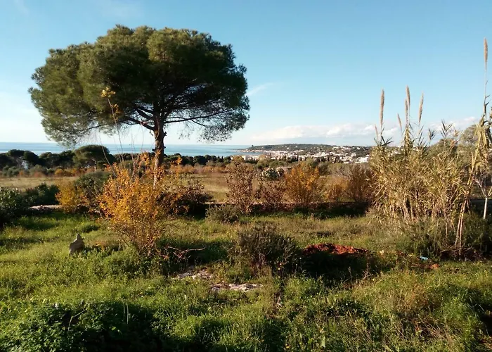 Antica Tenuta *